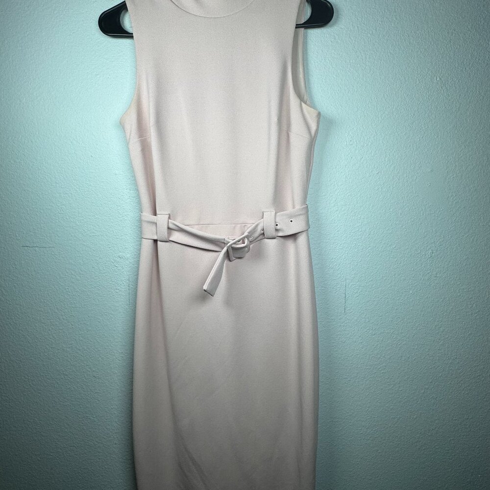 Blush Pink Express Dress